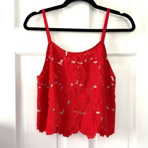 Alice + Olivia Red Lace Crop Top